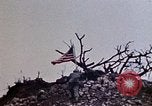Image of 1st Marine Division Shuri Okinawa Ryukyu Islands, 1945, second 49 stock footage video 65675052753
