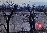 Image of 1st Marine Division Shuri Okinawa Ryukyu Islands, 1945, second 7 stock footage video 65675052754