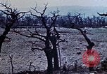 Image of 1st Marine Division Shuri Okinawa Ryukyu Islands, 1945, second 9 stock footage video 65675052754