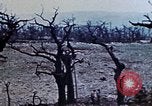 Image of 1st Marine Division Shuri Okinawa Ryukyu Islands, 1945, second 10 stock footage video 65675052754