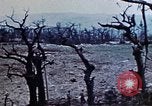 Image of 1st Marine Division Shuri Okinawa Ryukyu Islands, 1945, second 12 stock footage video 65675052754