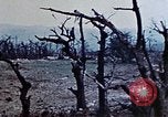 Image of 1st Marine Division Shuri Okinawa Ryukyu Islands, 1945, second 17 stock footage video 65675052754