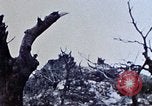 Image of 1st Marine Division Shuri Okinawa Ryukyu Islands, 1945, second 30 stock footage video 65675052754
