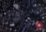 Image of 1st Marine Division Shuri Okinawa Ryukyu Islands, 1945, second 50 stock footage video 65675052754