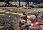 Image of 2nd Battalion 22nd Marine Regiment Okinawa Ryukyu Islands, 1945, second 26 stock footage video 65675052755