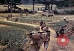 Image of 2nd Battalion 22nd Marine Regiment Okinawa Ryukyu Islands, 1945, second 31 stock footage video 65675052755