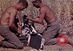 Image of 2nd Battalion 22nd Marine Regiment Okinawa Ryukyu Islands, 1945, second 13 stock footage video 65675052757