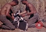 Image of 2nd Battalion 22nd Marine Regiment Okinawa Ryukyu Islands, 1945, second 14 stock footage video 65675052757