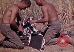 Image of 2nd Battalion 22nd Marine Regiment Okinawa Ryukyu Islands, 1945, second 15 stock footage video 65675052757