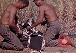 Image of 2nd Battalion 22nd Marine Regiment Okinawa Ryukyu Islands, 1945, second 16 stock footage video 65675052757