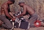 Image of 2nd Battalion 22nd Marine Regiment Okinawa Ryukyu Islands, 1945, second 20 stock footage video 65675052757