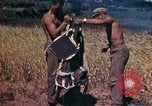 Image of 2nd Battalion 22nd Marine Regiment Okinawa Ryukyu Islands, 1945, second 27 stock footage video 65675052757