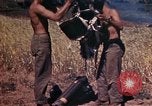 Image of 2nd Battalion 22nd Marine Regiment Okinawa Ryukyu Islands, 1945, second 31 stock footage video 65675052757