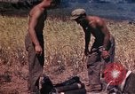 Image of 2nd Battalion 22nd Marine Regiment Okinawa Ryukyu Islands, 1945, second 34 stock footage video 65675052757