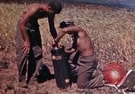 Image of 2nd Battalion 22nd Marine Regiment Okinawa Ryukyu Islands, 1945, second 42 stock footage video 65675052757