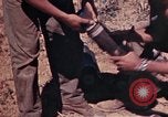 Image of 2nd Battalion 22nd Marine Regiment Okinawa Ryukyu Islands, 1945, second 51 stock footage video 65675052757
