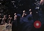 Image US Marines Okinawa îles Ryukyu, 1945, de la seconde 21 séquences d'archives historiques vidéo 65675052759