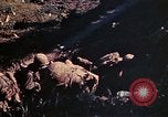 Image US Marines Okinawa îles Ryukyu, 1945, de la seconde 26 séquences d'archives historiques vidéo 65675052759