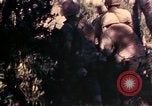 Image of 1st and 2nd Marine Battalions Okinawa Ryukyu Islands, 1945, second 6 stock footage video 65675052760