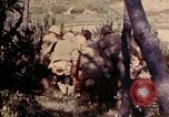 Image of 1st and 2nd Marine Battalions Okinawa Ryukyu Islands, 1945, second 9 stock footage video 65675052760