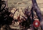Image of 1st and 2nd Marine Battalions Okinawa Ryukyu Islands, 1945, second 10 stock footage video 65675052760
