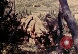 Image of 1st and 2nd Marine Battalions Okinawa Ryukyu Islands, 1945, second 11 stock footage video 65675052760