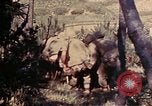 Image of 1st and 2nd Marine Battalions Okinawa Ryukyu Islands, 1945, second 12 stock footage video 65675052760