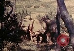 Image of 1st and 2nd Marine Battalions Okinawa Ryukyu Islands, 1945, second 13 stock footage video 65675052760