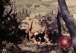 Image of 1st and 2nd Marine Battalions Okinawa Ryukyu Islands, 1945, second 15 stock footage video 65675052760