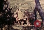 Image of 1st and 2nd Marine Battalions Okinawa Ryukyu Islands, 1945, second 16 stock footage video 65675052760