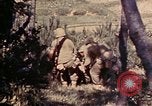 Image of 1st and 2nd Marine Battalions Okinawa Ryukyu Islands, 1945, second 18 stock footage video 65675052760