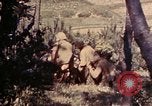 Image of 1st and 2nd Marine Battalions Okinawa Ryukyu Islands, 1945, second 22 stock footage video 65675052760