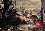 Image of 1st and 2nd Marine Battalions Okinawa Ryukyu Islands, 1945, second 24 stock footage video 65675052760