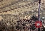 Image of 1st and 2nd Marine Battalions Okinawa Ryukyu Islands, 1945, second 32 stock footage video 65675052760