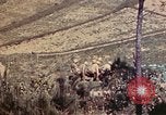 Image of 1st and 2nd Marine Battalions Okinawa Ryukyu Islands, 1945, second 33 stock footage video 65675052760
