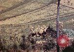 Image of 1st and 2nd Marine Battalions Okinawa Ryukyu Islands, 1945, second 34 stock footage video 65675052760