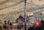 Image of 1st and 2nd Marine Battalions Okinawa Ryukyu Islands, 1945, second 48 stock footage video 65675052760