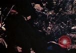 Image of 1st and 2nd Marine Battalions Okinawa Ryukyu Islands, 1945, second 57 stock footage video 65675052760