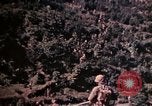 Image of 1st and 2nd Marine Battalions Okinawa Ryukyu Islands, 1945, second 7 stock footage video 65675052761