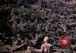 Image of 1st and 2nd Marine Battalions Okinawa Ryukyu Islands, 1945, second 25 stock footage video 65675052761