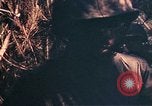 Image of 1st and 2nd Marine Battalions Okinawa Ryukyu Islands, 1945, second 30 stock footage video 65675052761