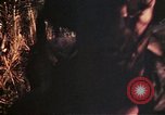 Image of 1st and 2nd Marine Battalions Okinawa Ryukyu Islands, 1945, second 42 stock footage video 65675052761