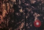 Image of 1st and 2nd Marine Battalions Okinawa Ryukyu Islands, 1945, second 44 stock footage video 65675052761