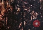 Image of 1st and 2nd Marine Battalions Okinawa Ryukyu Islands, 1945, second 45 stock footage video 65675052761