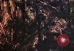 Image of 1st and 2nd Marine Battalions Okinawa Ryukyu Islands, 1945, second 46 stock footage video 65675052761