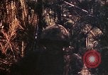 Image of 1st and 2nd Marine Battalions Okinawa Ryukyu Islands, 1945, second 48 stock footage video 65675052761