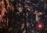 Image of 1st and 2nd Marine Battalions Okinawa Ryukyu Islands, 1945, second 53 stock footage video 65675052761
