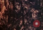 Image of 1st and 2nd Marine Battalions Okinawa Ryukyu Islands, 1945, second 54 stock footage video 65675052761