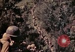 Image of 1st and 2nd Marine Battalions Okinawa Ryukyu Islands, 1945, second 60 stock footage video 65675052761