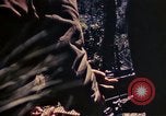 Image of US Marines Okinawa Ryukyu Islands, 1945, second 12 stock footage video 65675052762
